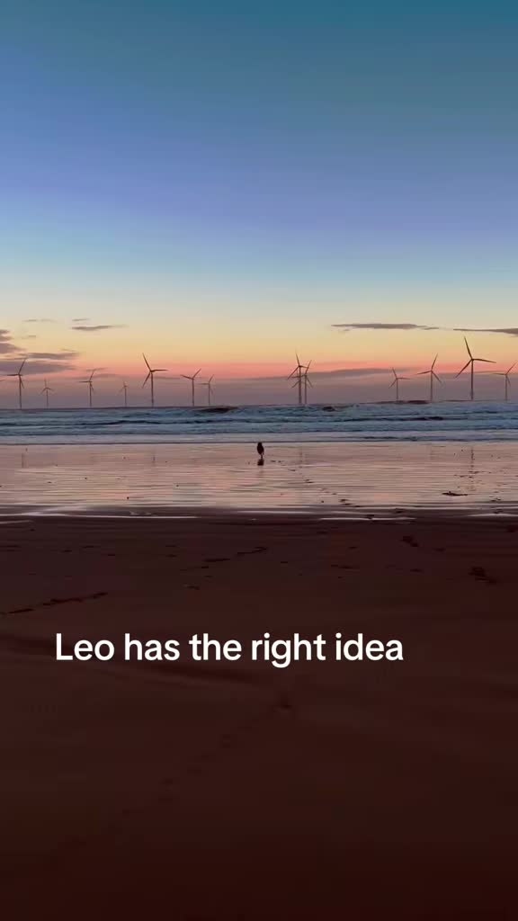 @Leo