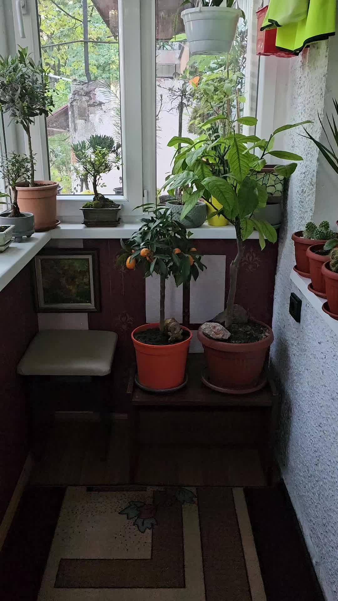 @Нели Манова