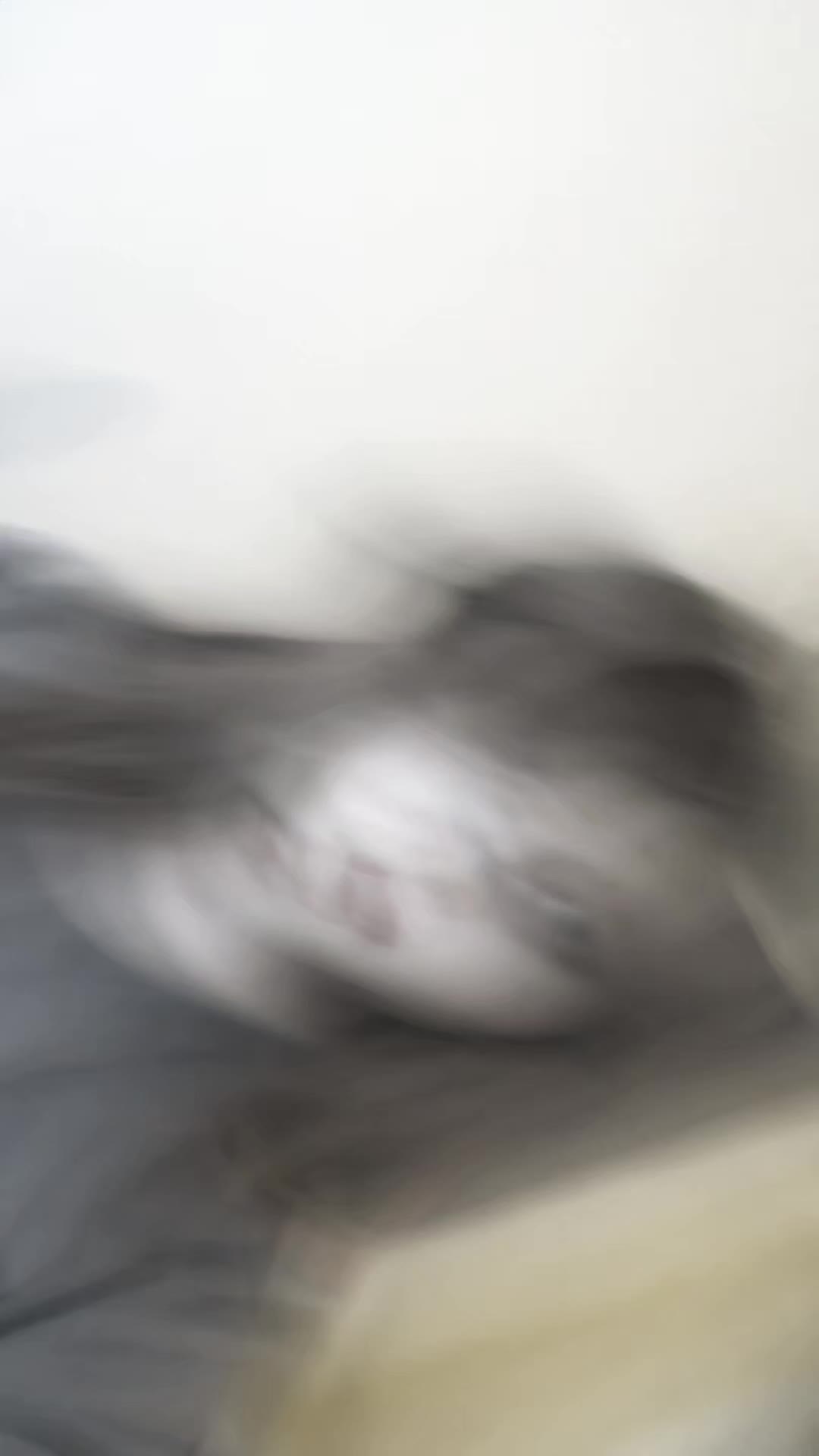 @◦•●◉✿ 𝑛̃𝑜𝑙𝑎 ✿◉●•◦