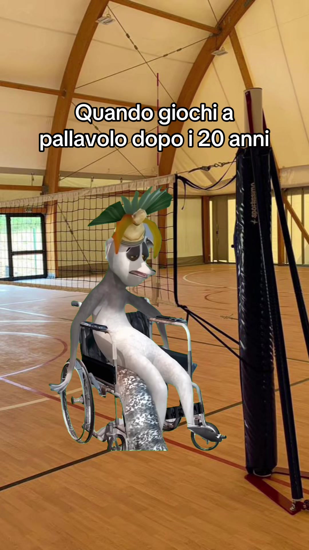 @Majestic Volley