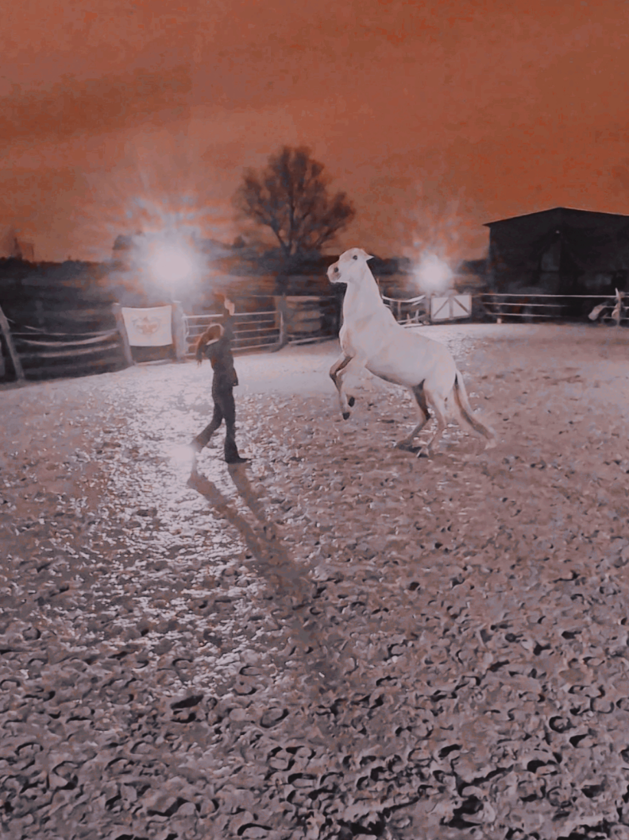 @Lisas kleine Ranch 🐴