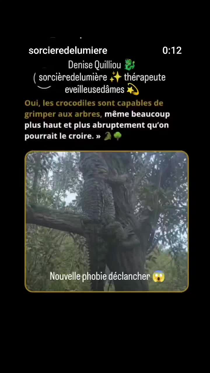 @Lauret Denise ✨🐉✨