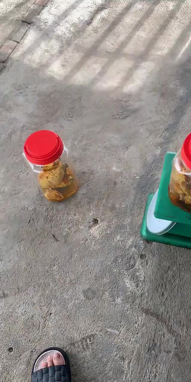 @Mật rừng THÀNH ĐẠT
