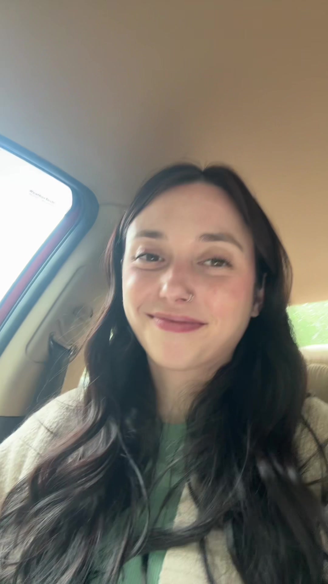@briconatorfries