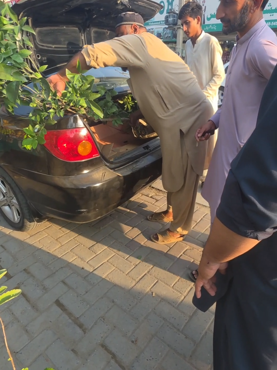 @®️®️𝕣ꪖꪗꫝꪊડડ®️®️ ریاض حسین
