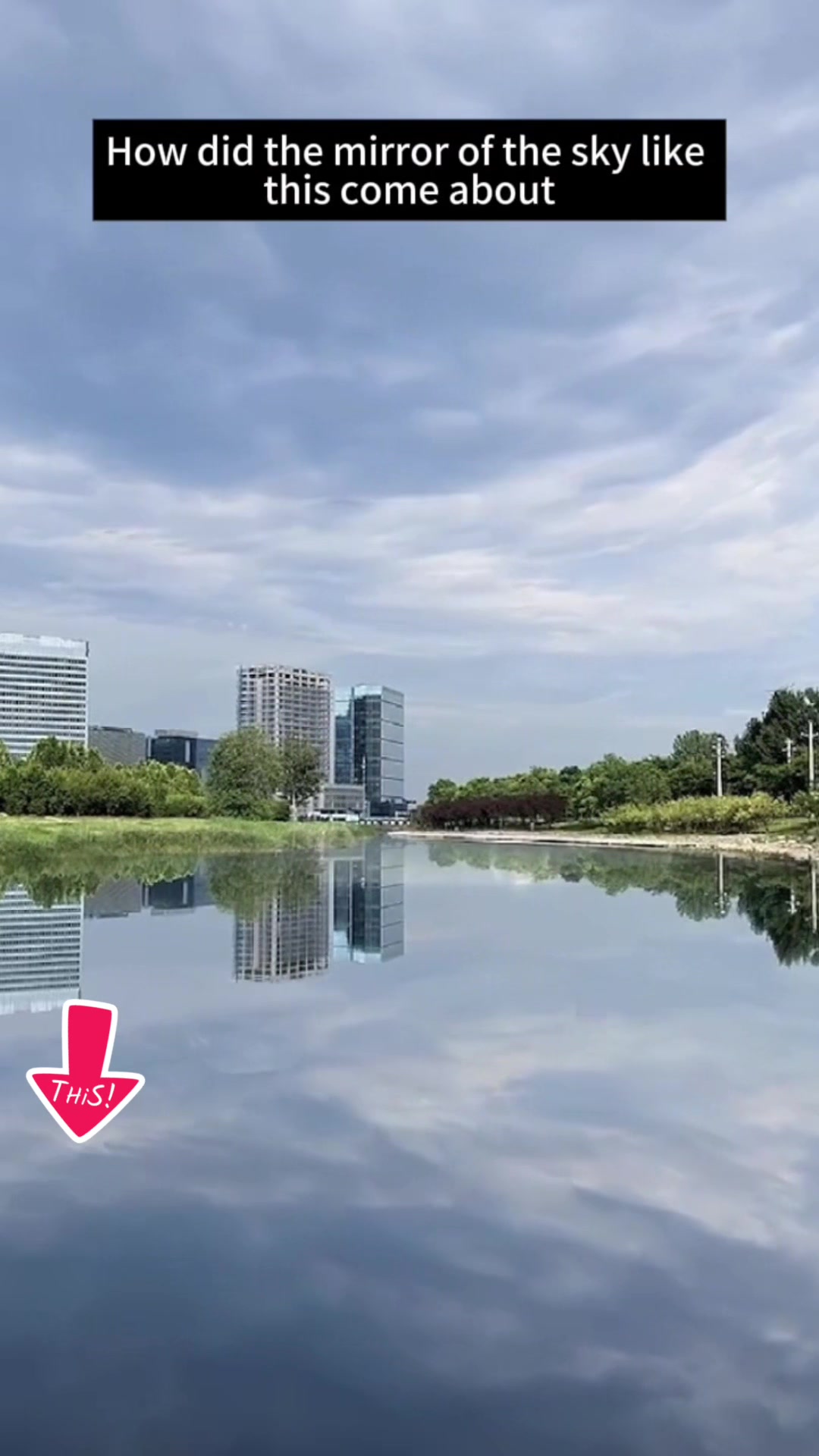 @ChenliangDigital