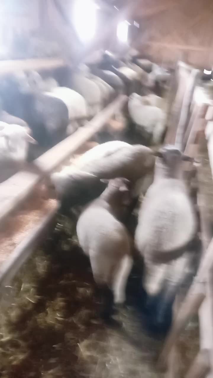 @Alin Marţii