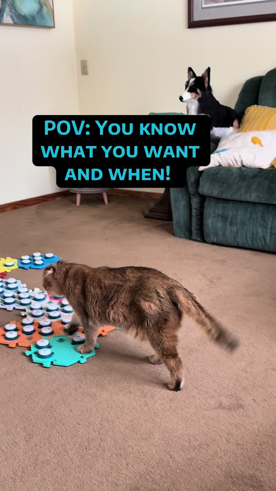 @Puffindoestricks