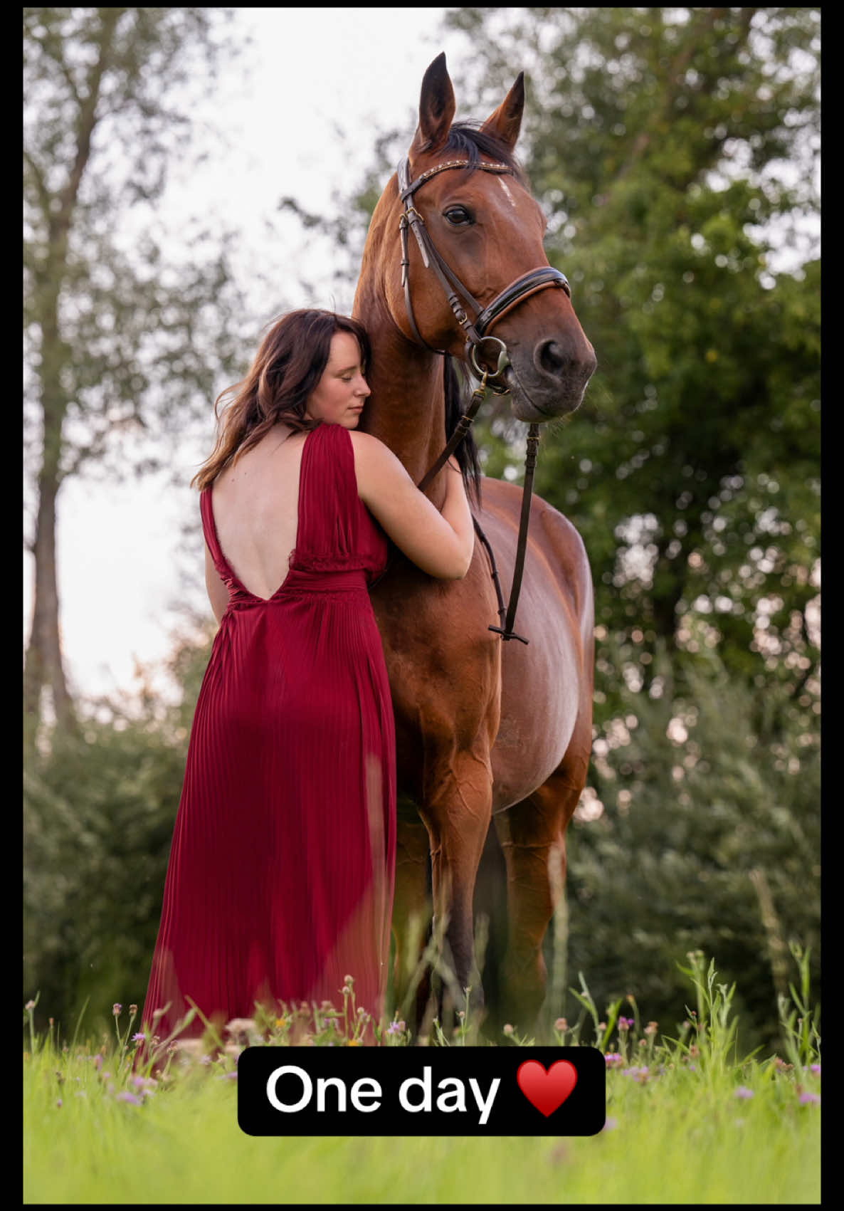 @Tigerlilly Diamant & Cherokee
