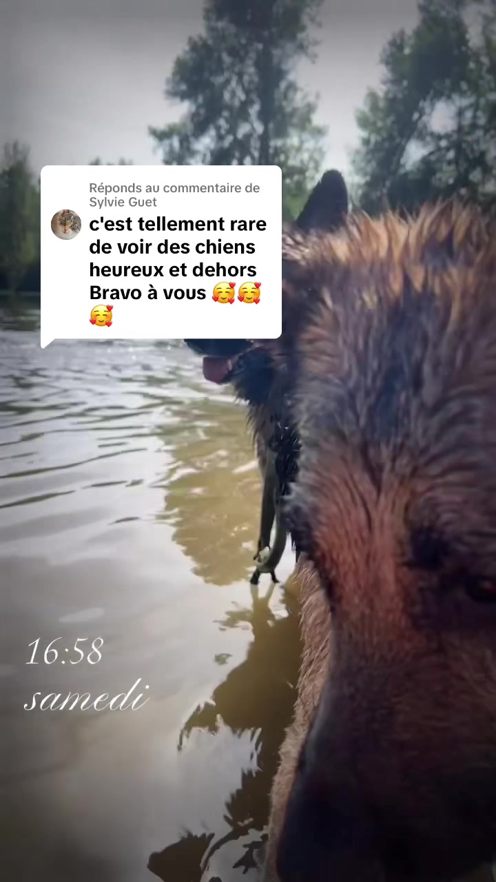 @Tiphanie Titi Hervie