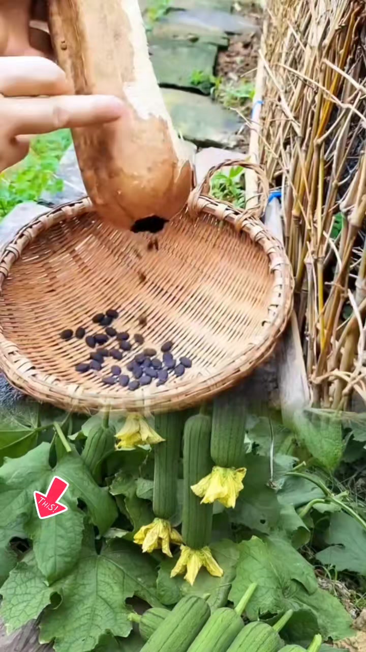 @tới đồ dùng