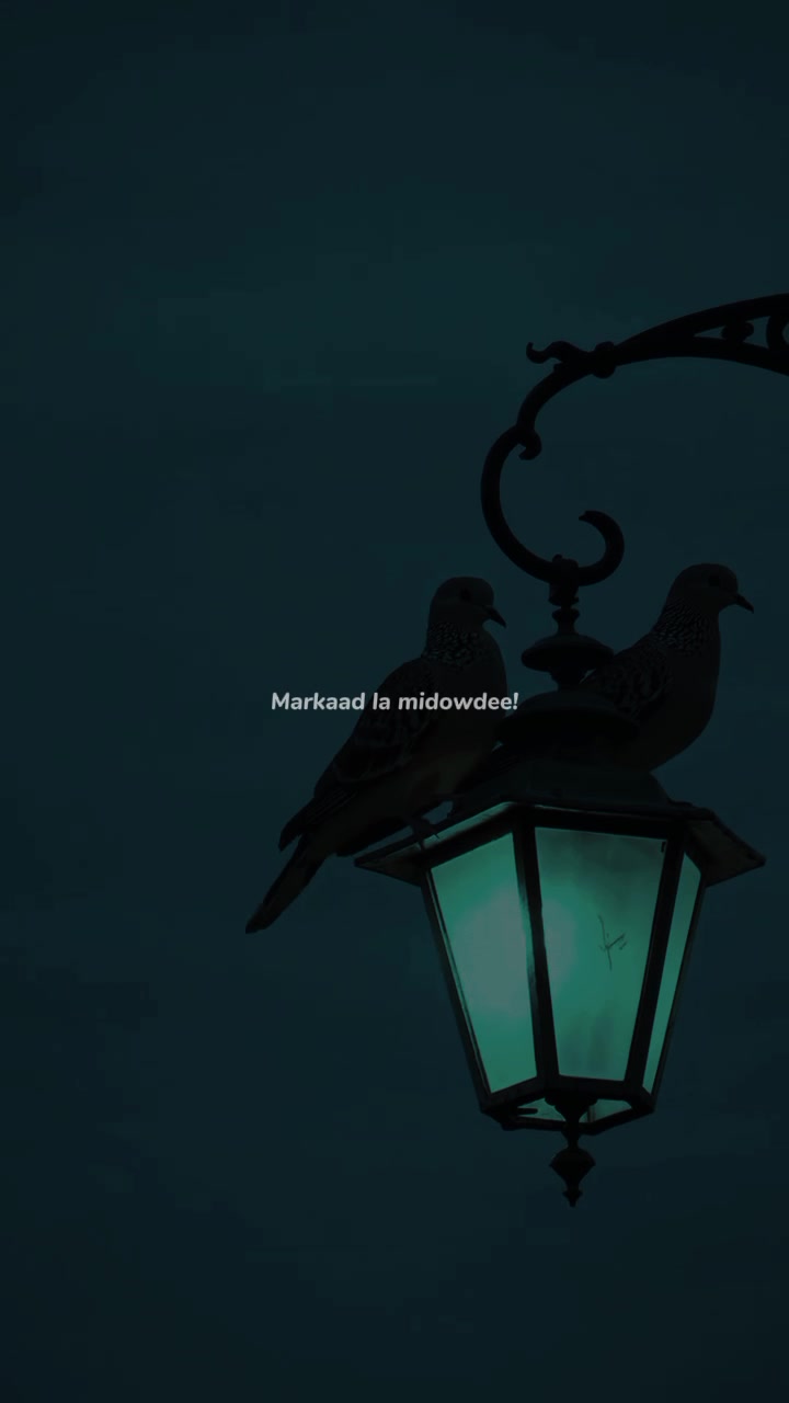 @𝗠𝗨𝗦𝗔𝗔𝗟𝗜𝗗