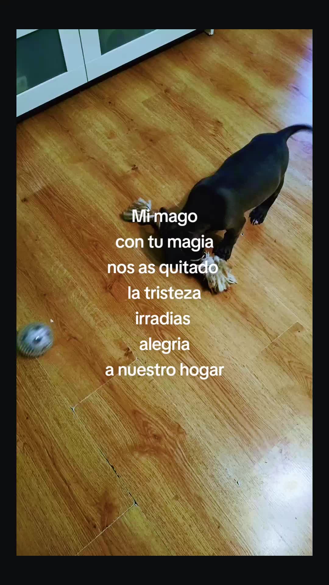 @Mirella Sedamanos