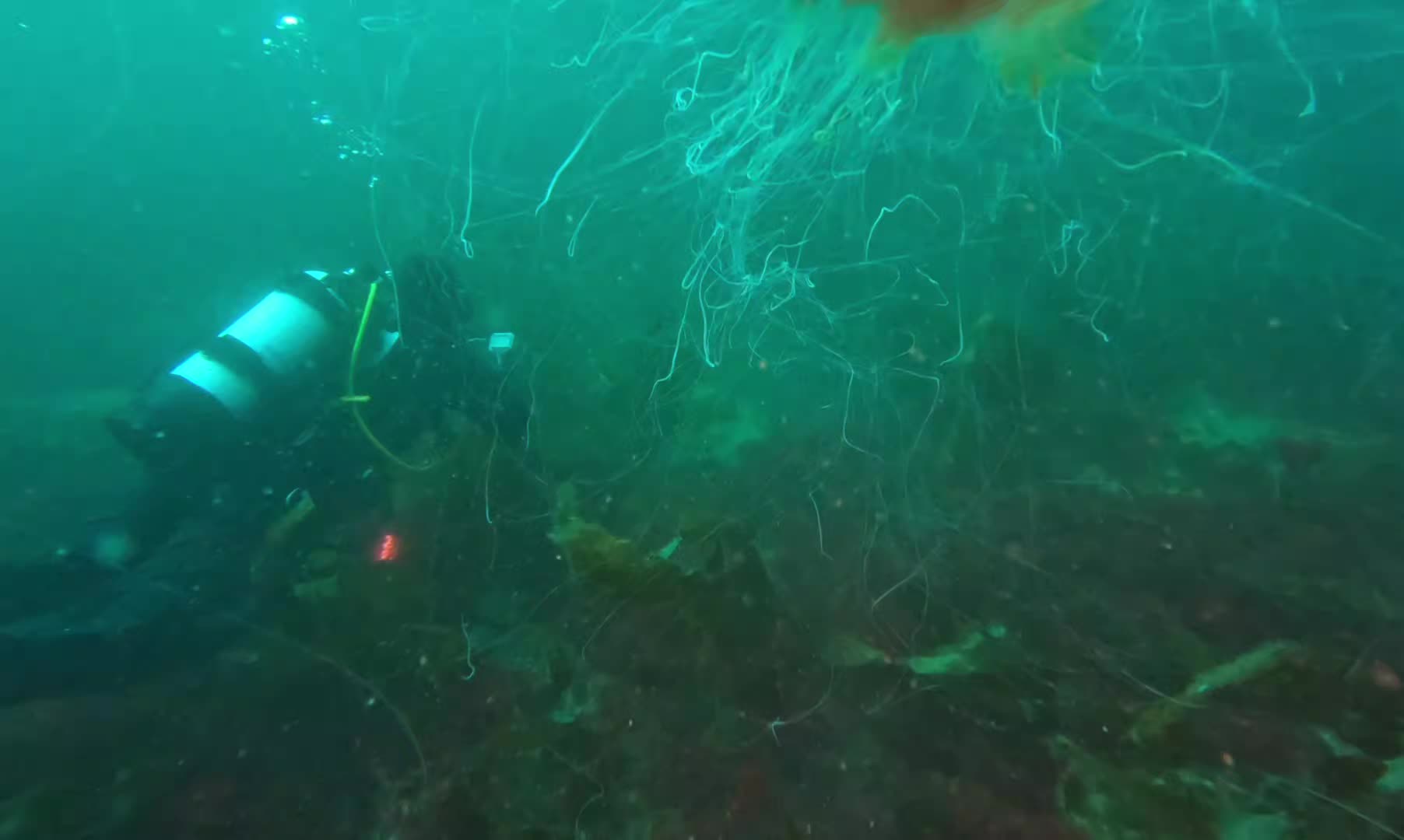 @@stutubediving