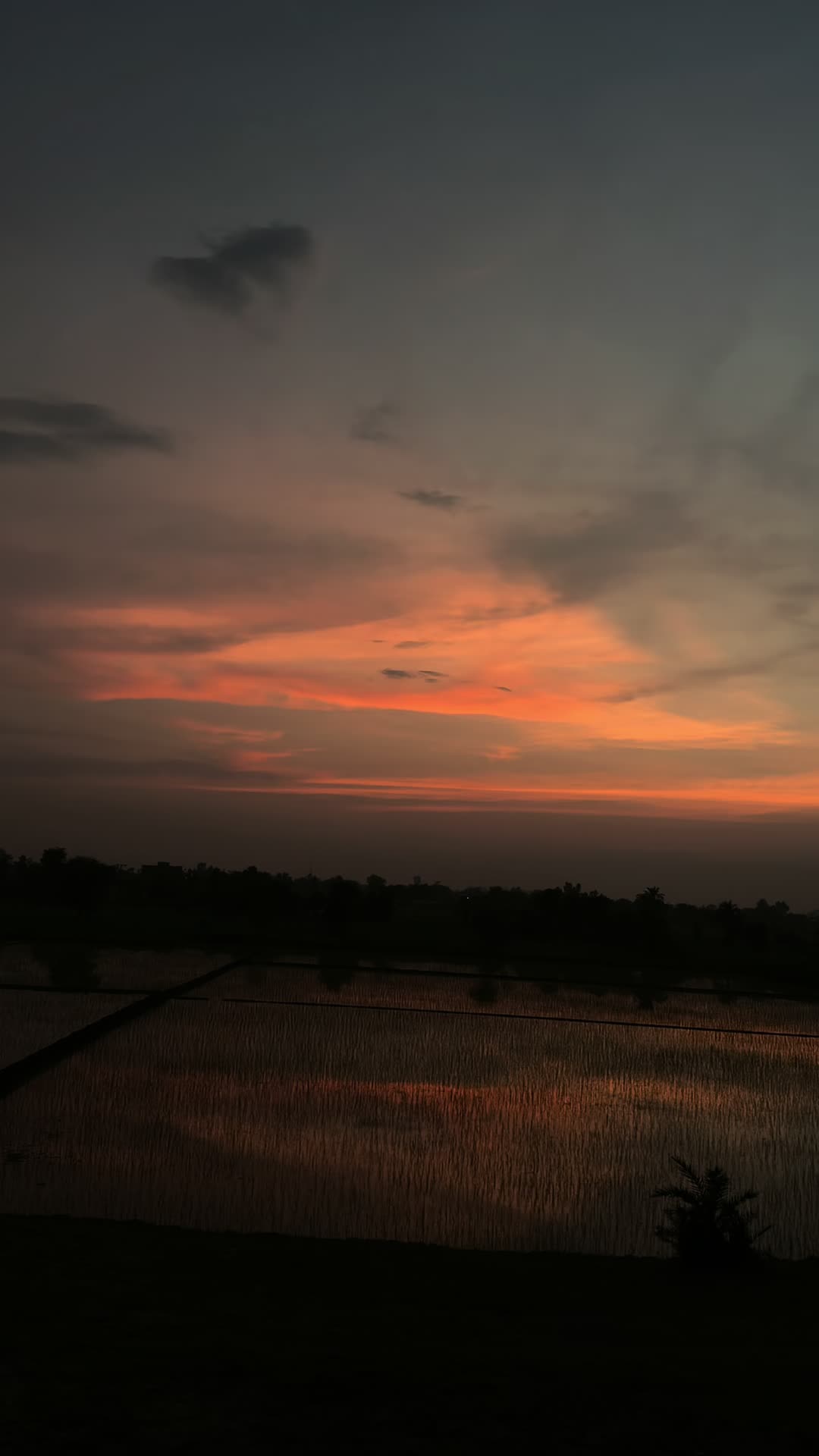 @𝙼𝐻