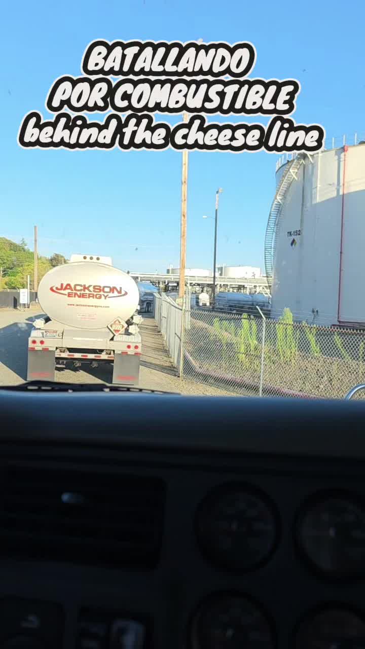 @ROBERTO FARIAS