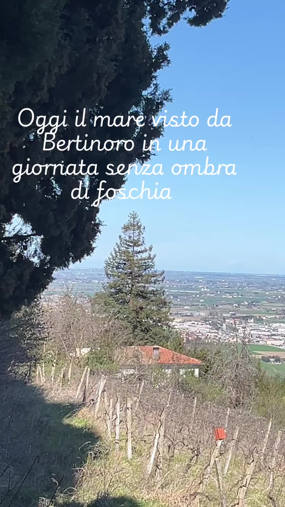 @adrianadidomenico2