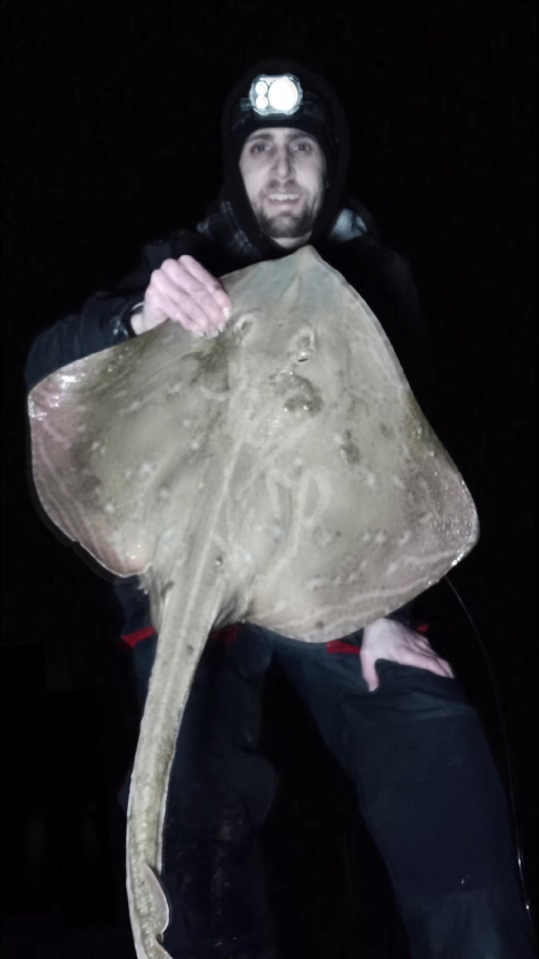 @jamie