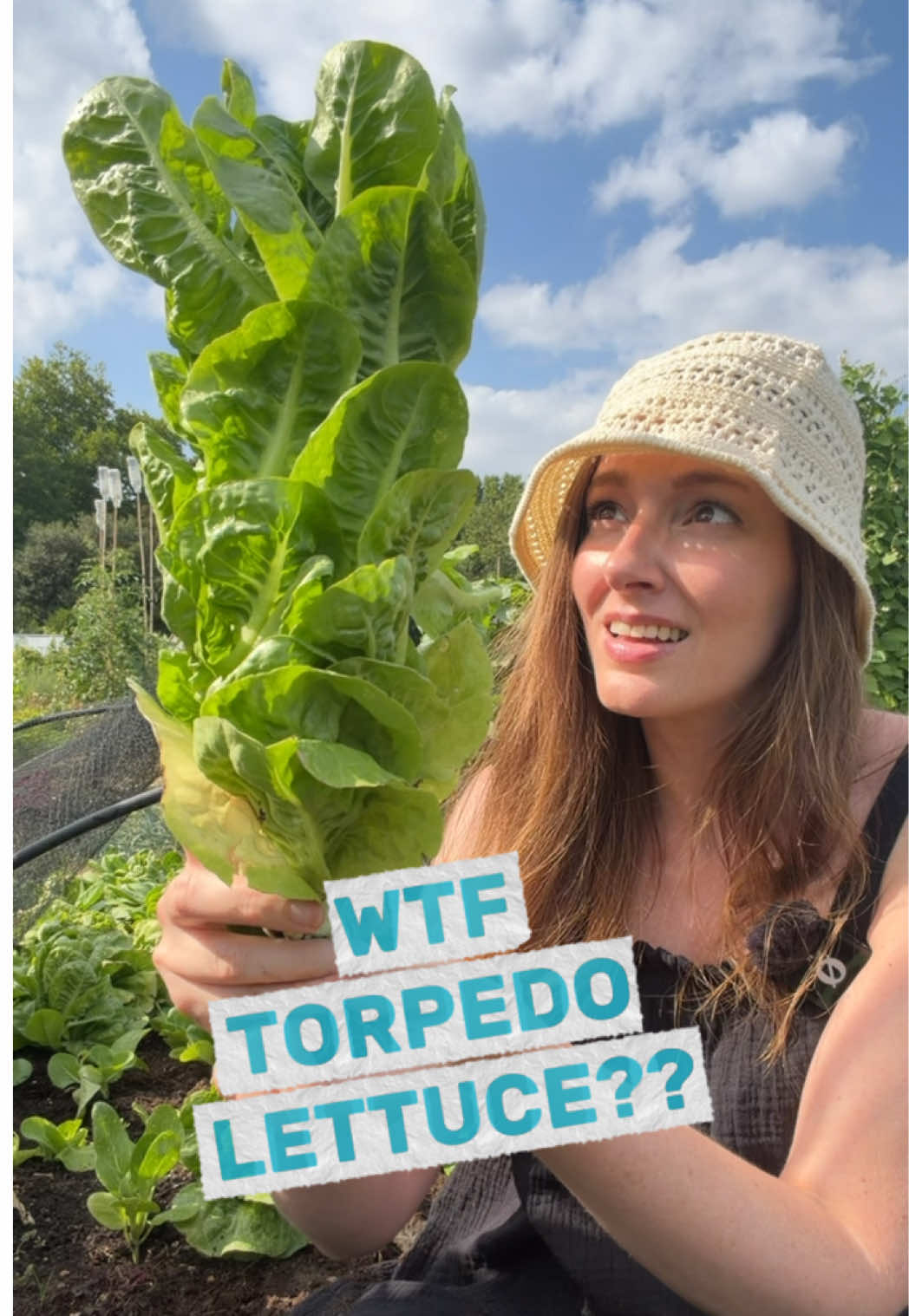 @thisgardenwillkillyou
