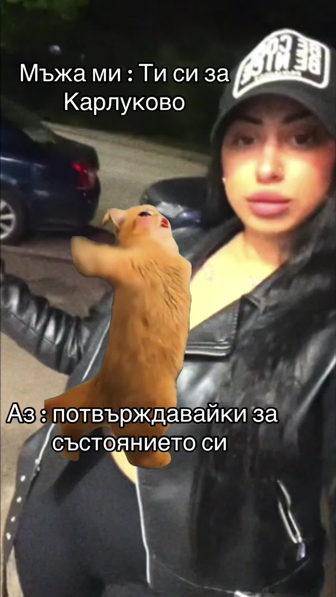 @🎭 Ş A R Ą 🎭
