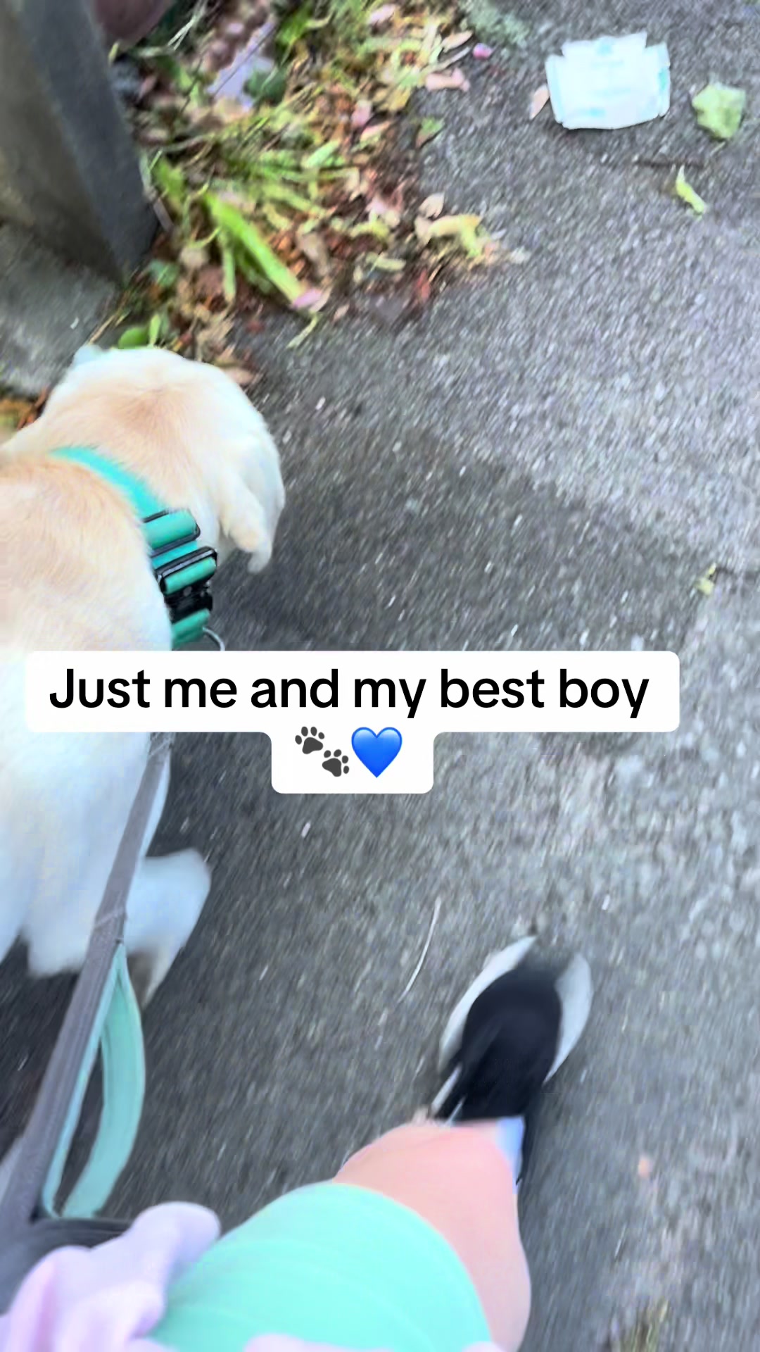 @Teddy 💕Charlie🐾💙