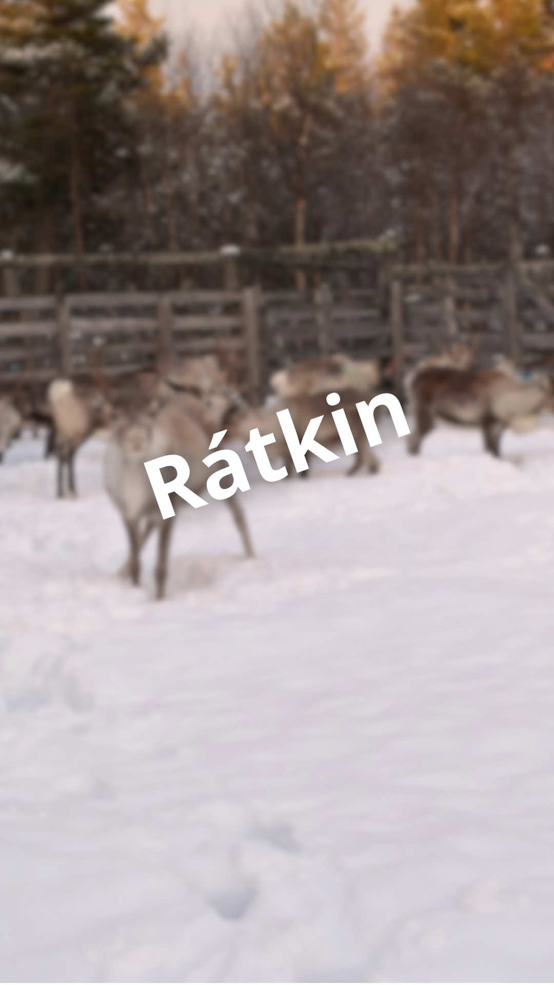 @ylesohkaršohkka