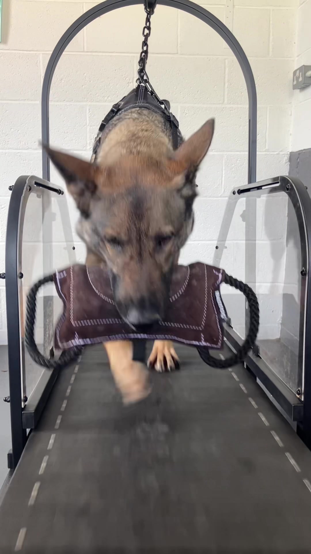 @Crazy GSD Lady