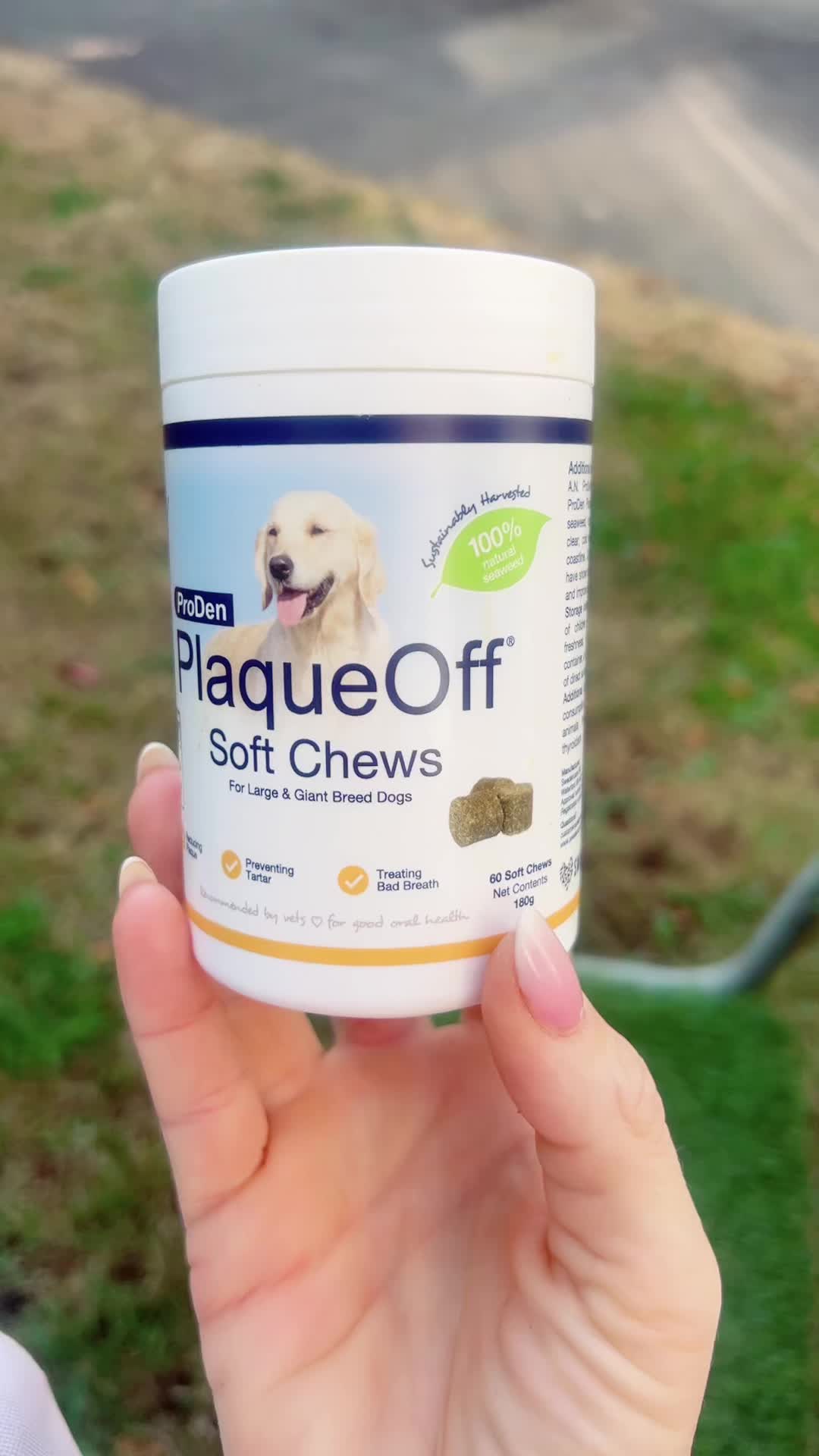 @Croesy Canine Services
