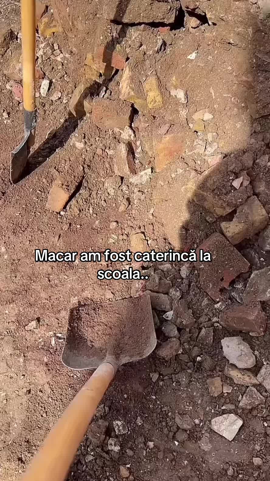 @sebi