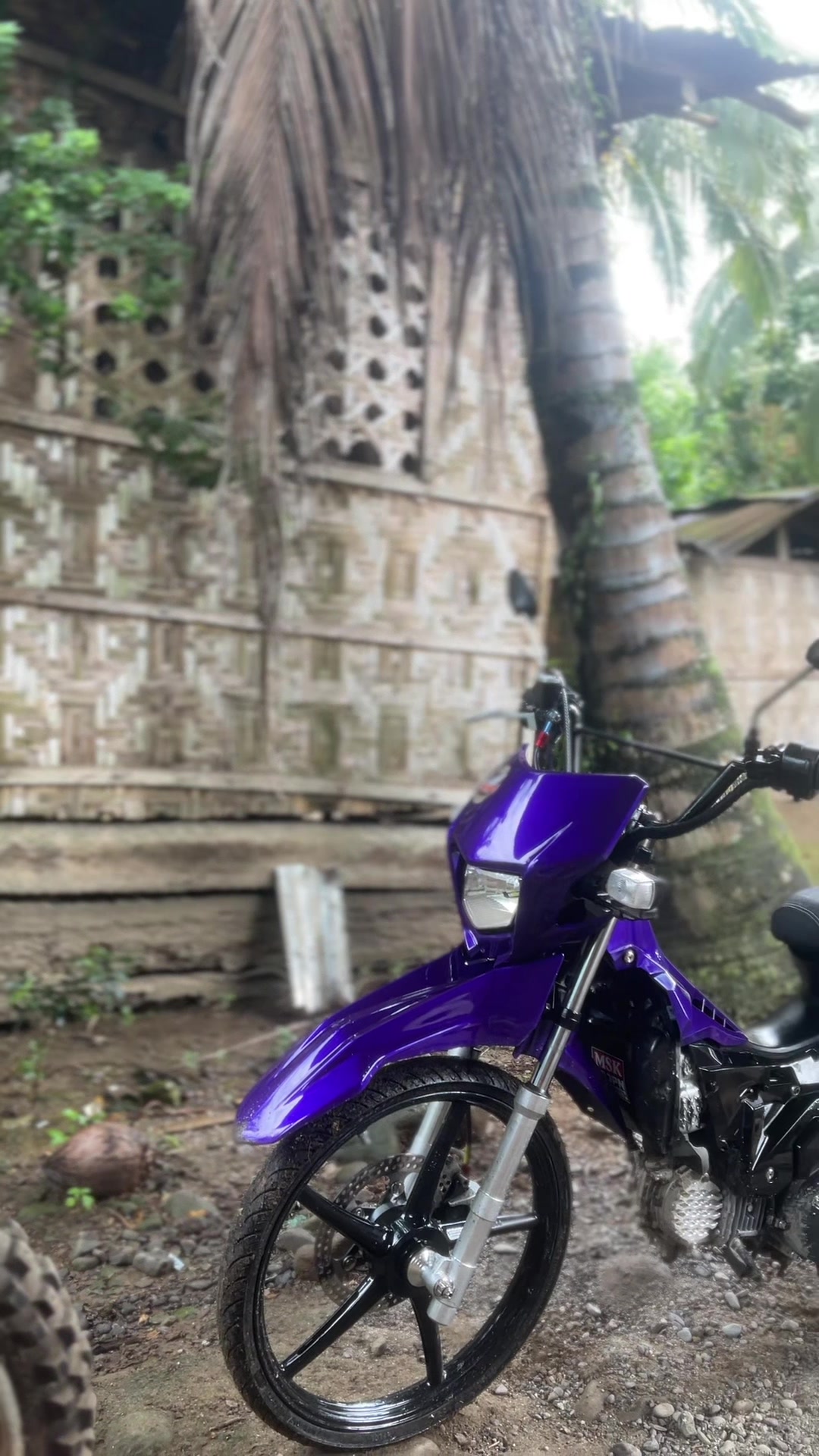 @HaroldT🇻🇳