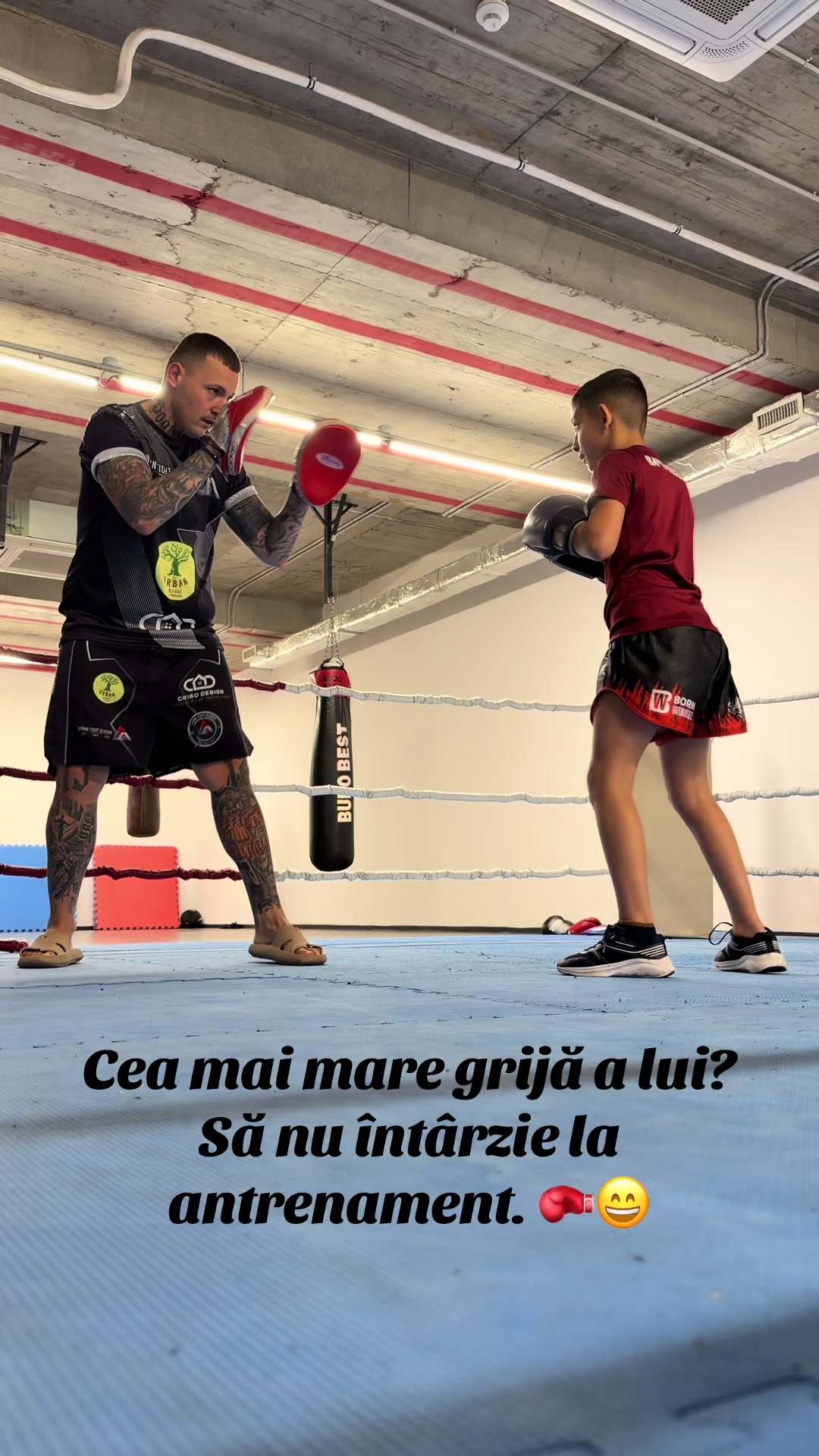 @C.S RAPID BUCUREȘTI - BOX 🥊