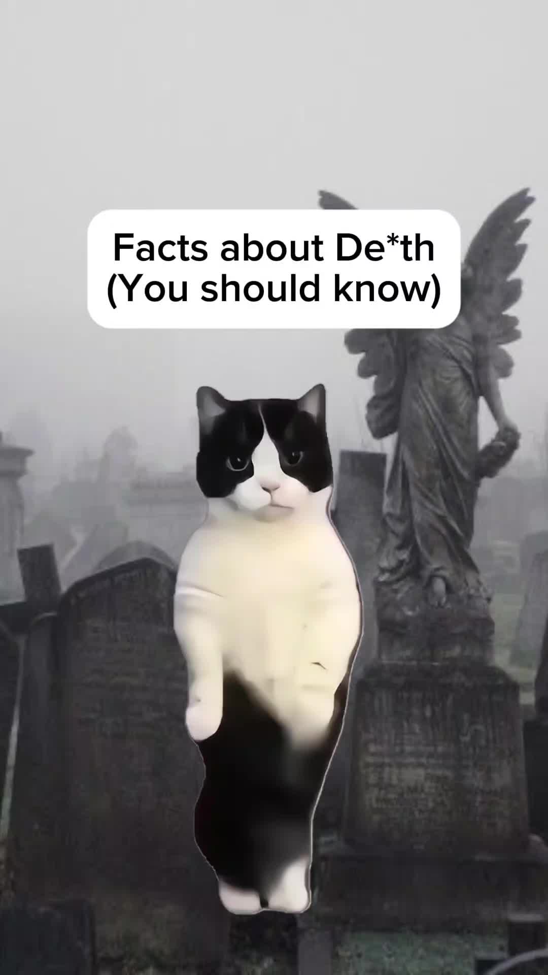 @Histonerd