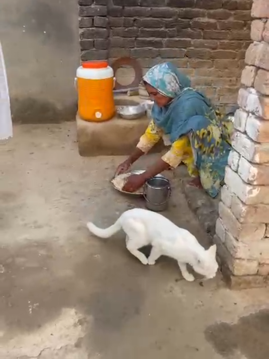 @judwaa vlog 5