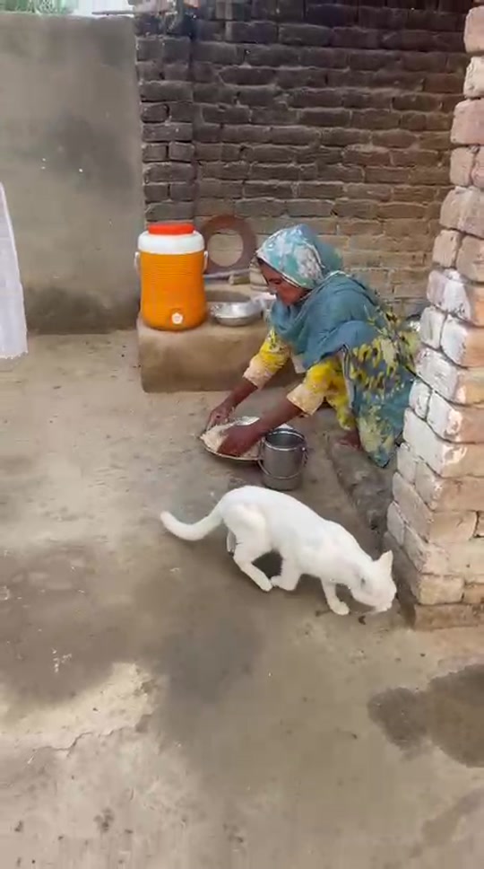 @judwaa vlog 5