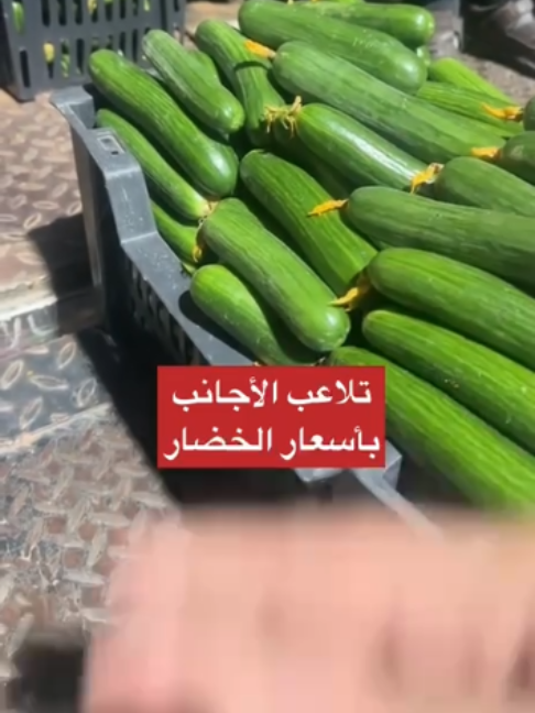 @بلادنا على وين