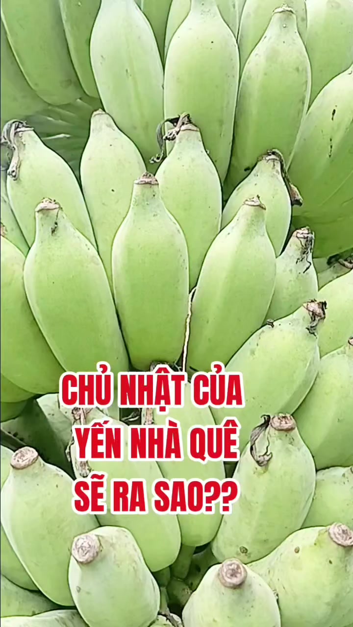 @Tạp h&oacute;a Khang Khang