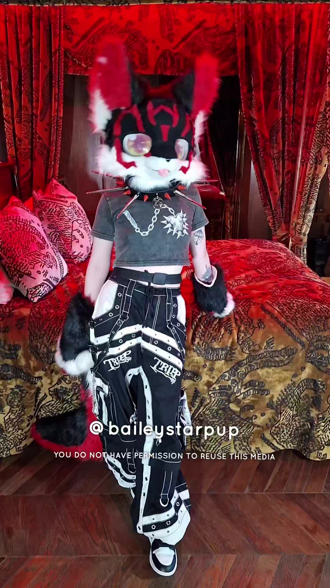 @Bailey (lilpixiekitten)