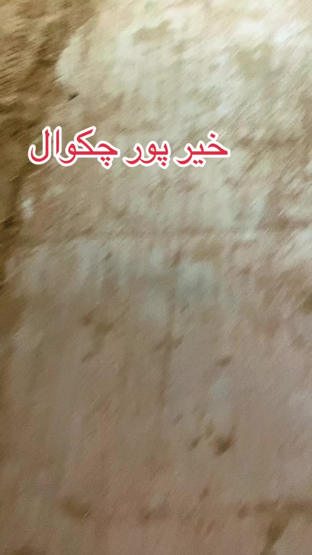 @DXN malik_tajamal