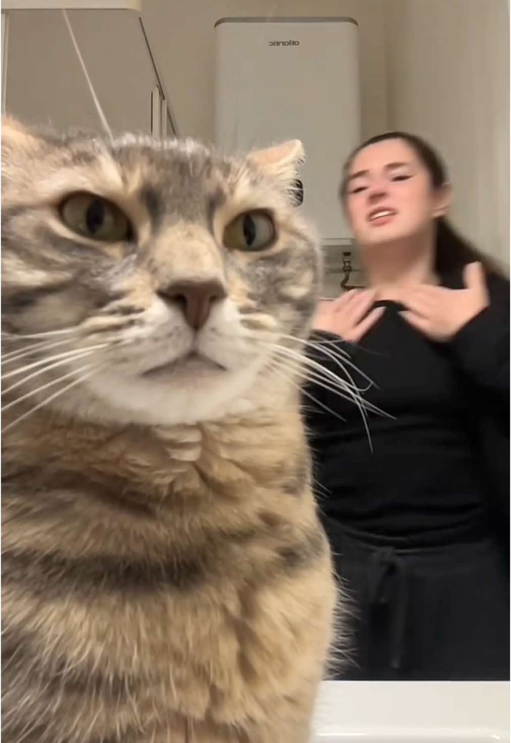 @Le_drama.cat 🇫🇷