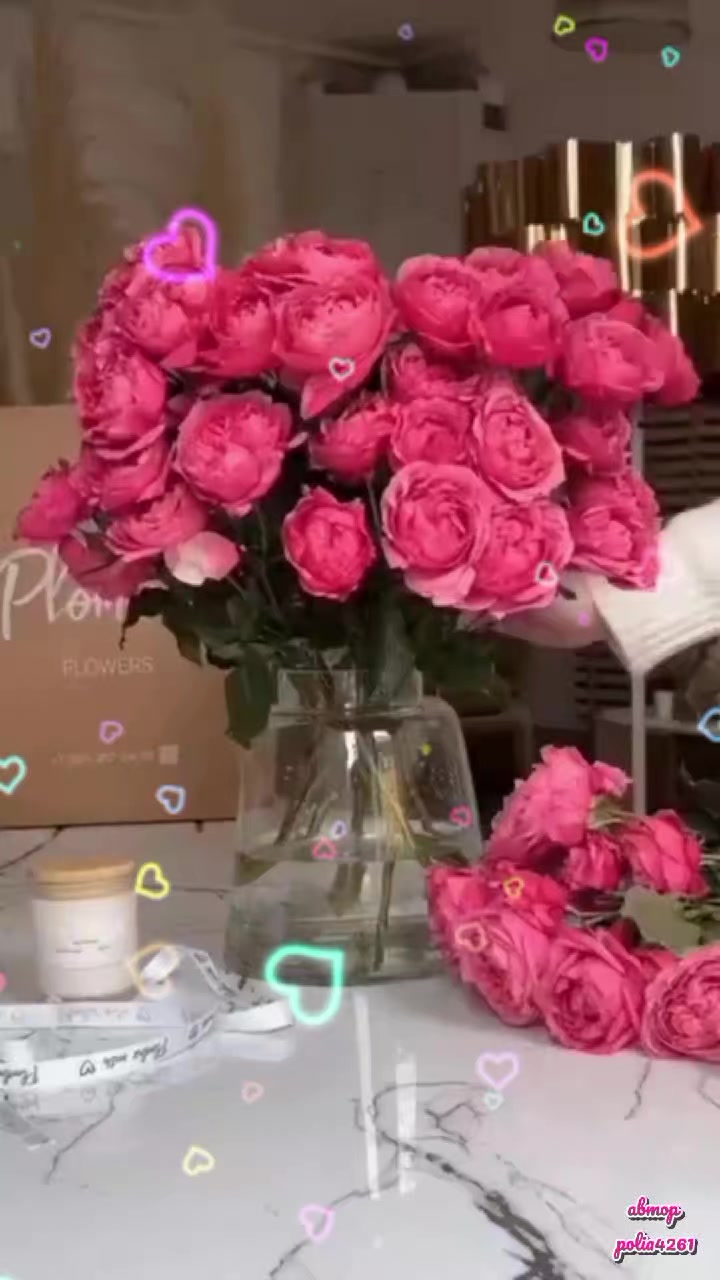 @Polia4261