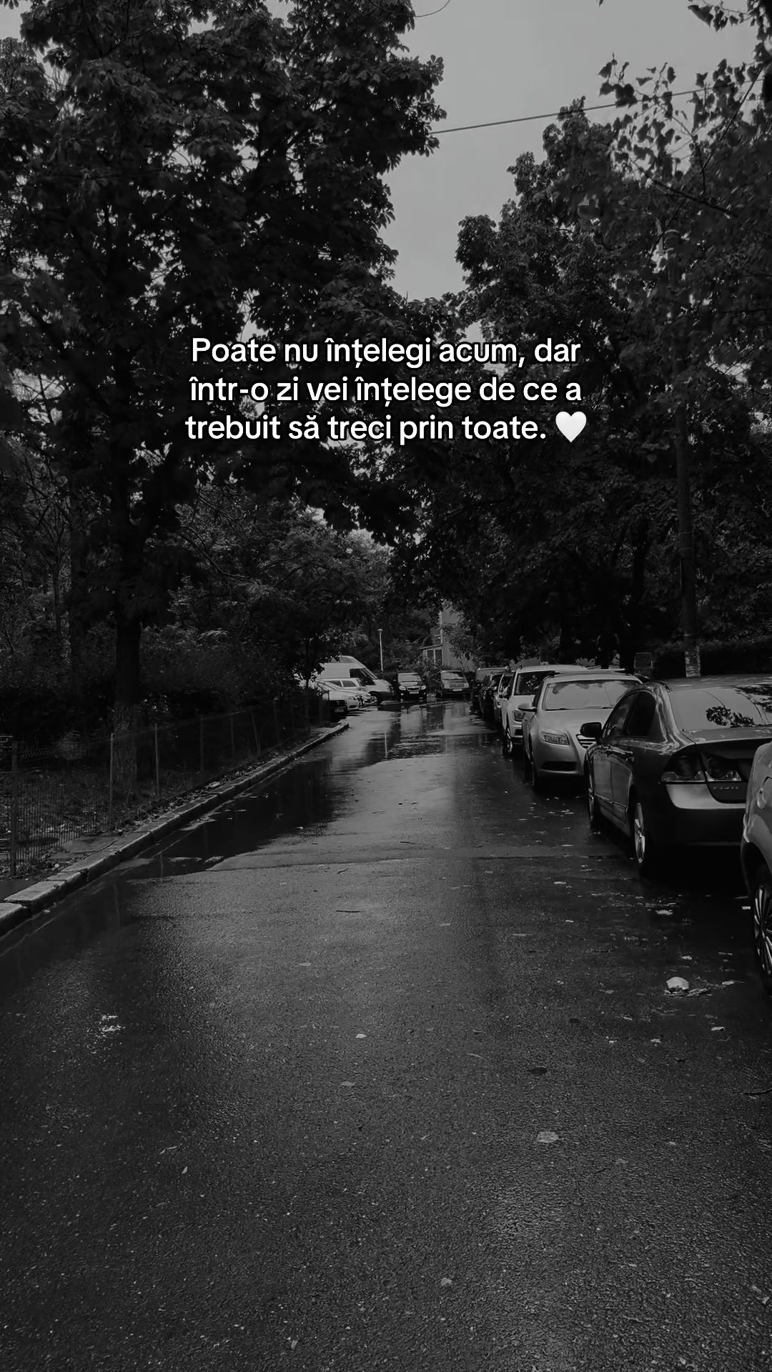 @❤️_Ionut_❤️