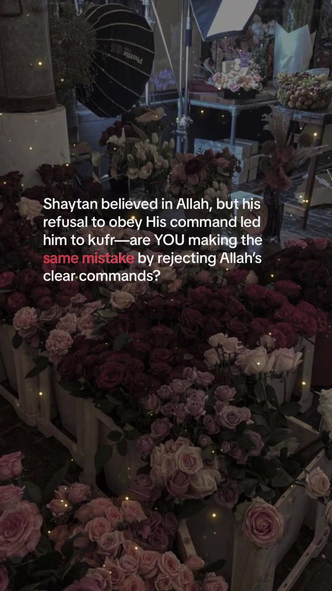@DeenoverDunya🕊️