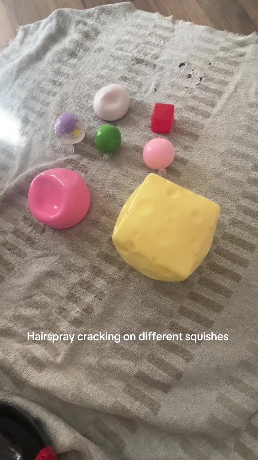 @love a squish