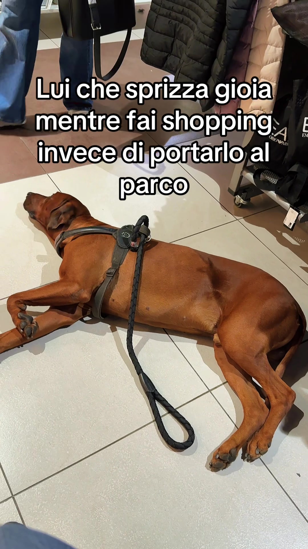 @danilo.gneo