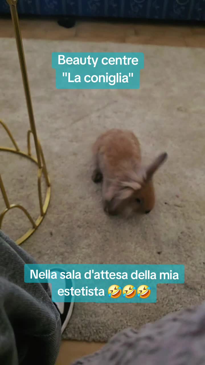 @Camilla Spinella