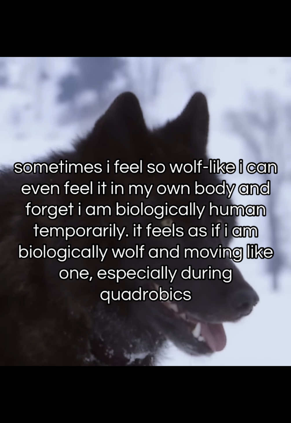 @⋮ ✩ 𝘭𝘺𝘬𝘰𝘴ˏˏ𓄀