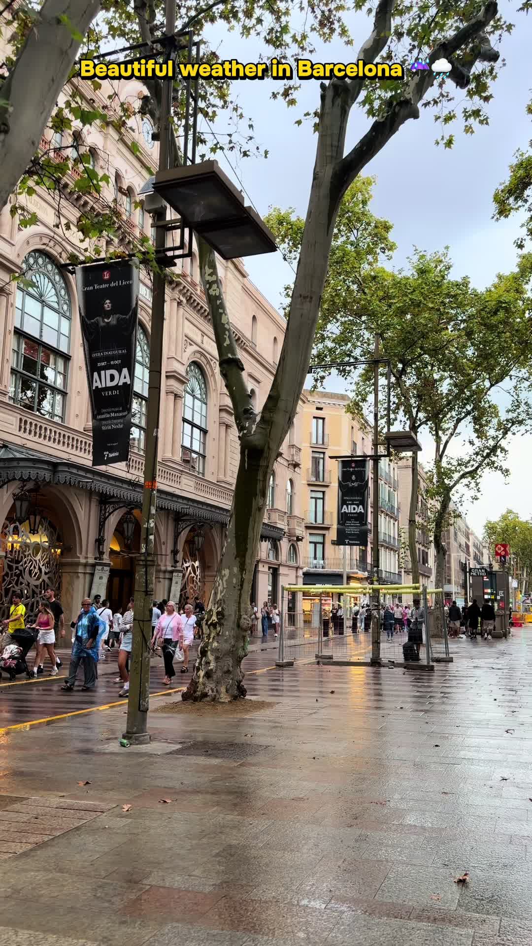 @𝓜𝓪𝓻𝓲́𝓪 𝓣𝓪𝓻𝓲𝓺🇪🇸🇵🇰