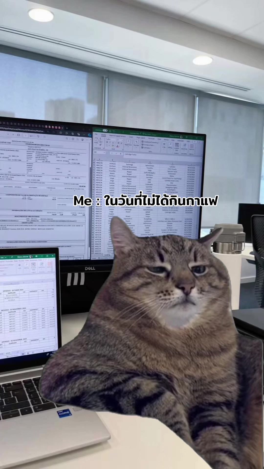 @ฮิปโปตด