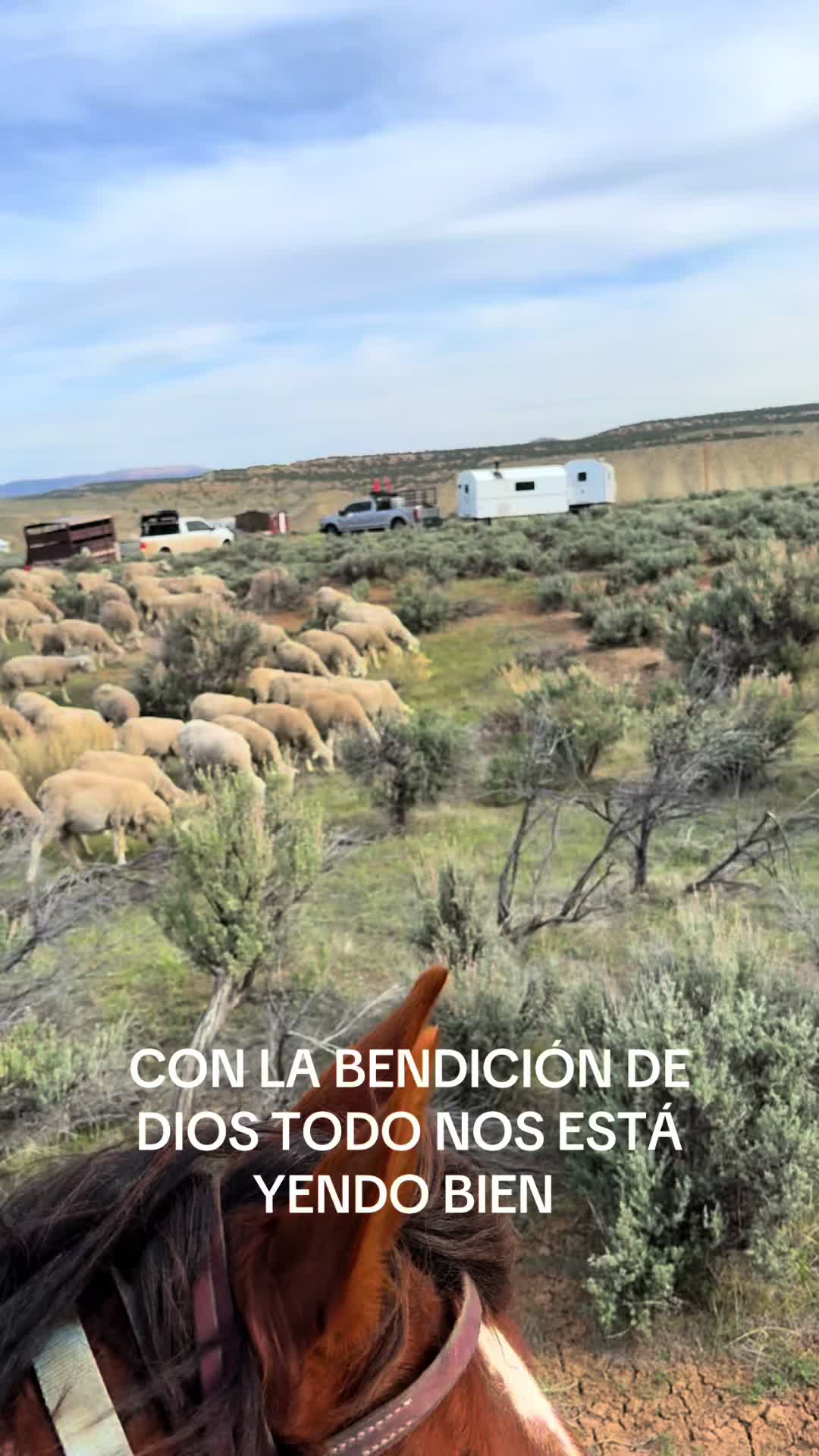 @papuchito 👨🌾🫏