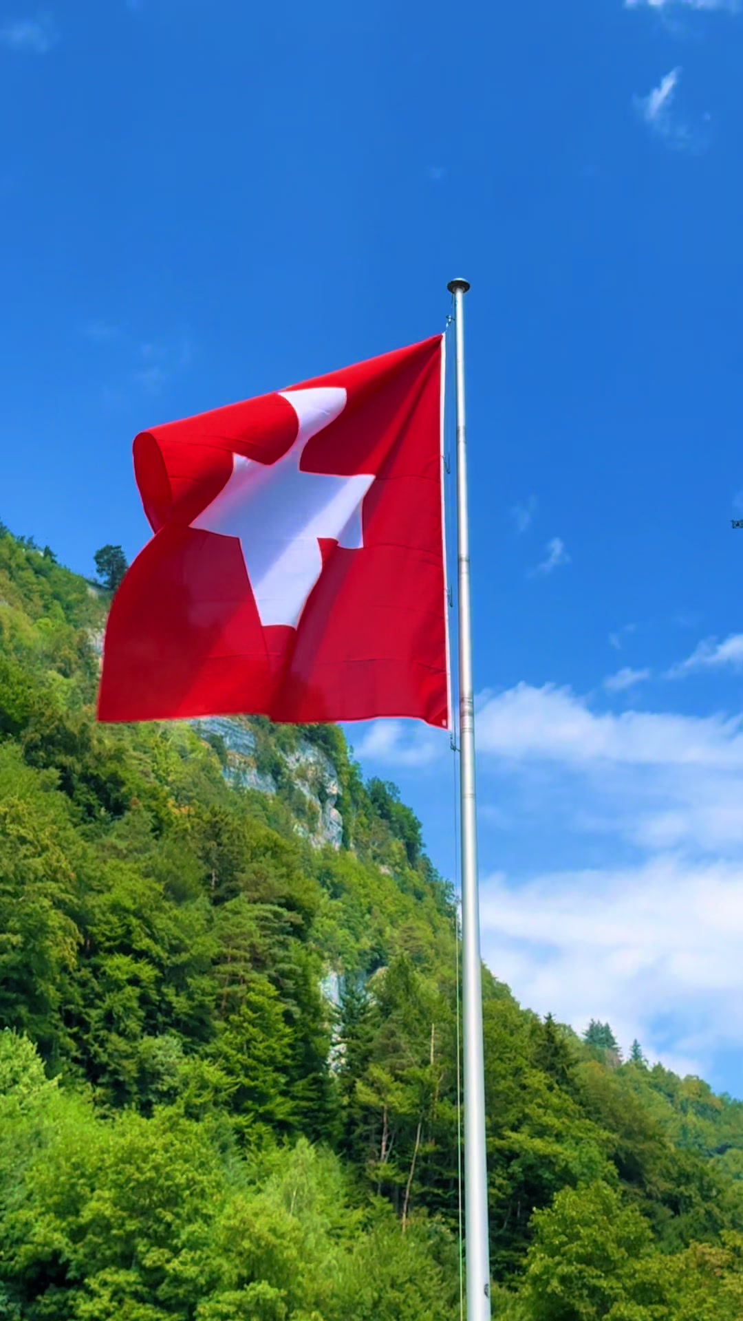 @swiss_alps
